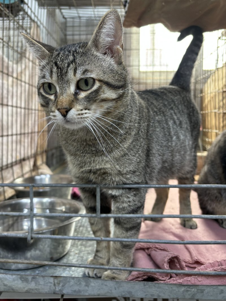248563