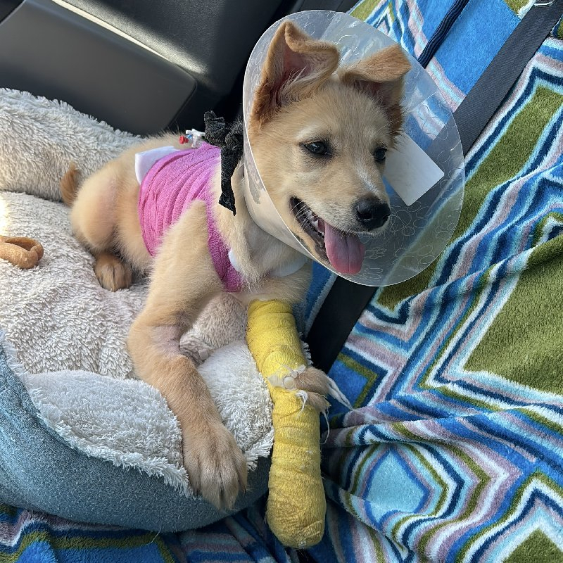 254972